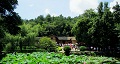 長沙出發(fā)到花明樓、韶山、張家界國家森林公園、天門仙山國家森林公園四日游